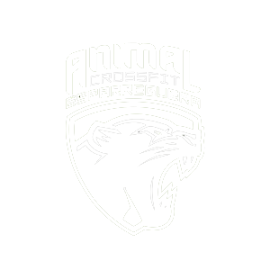 659489fea7e64580e67b7363_cropped-ANIMAL-CF-LOGO-OK-2-4-300x300
